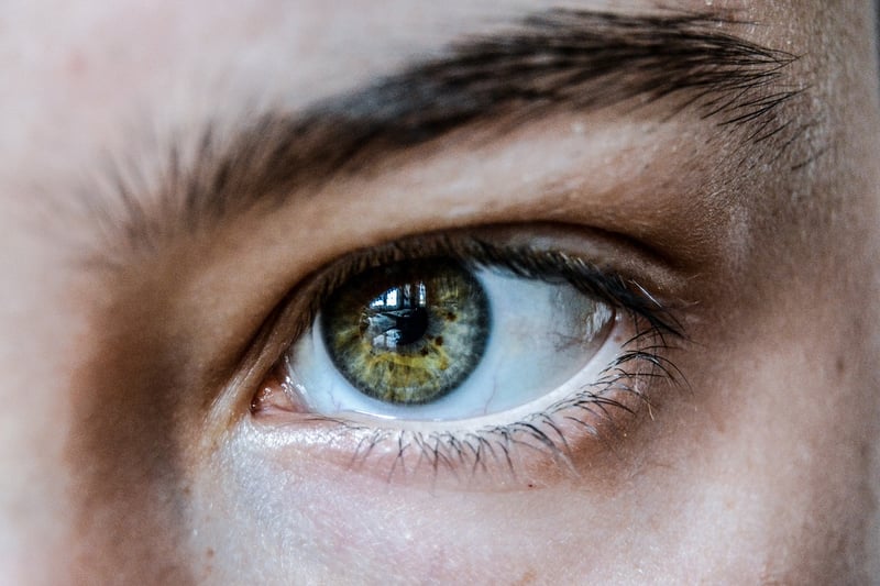Eye of Truth